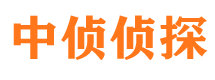 谢家集侦探